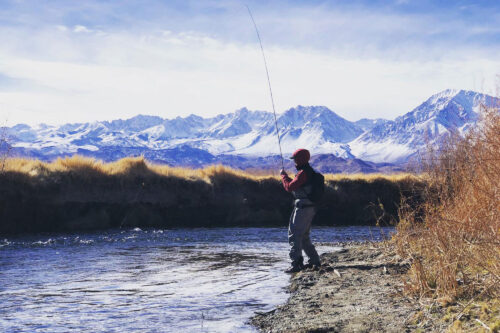 Person fly-fishing in a river with snow-capped mountains in the background on a sunny day near Bishop, California in the Eastern Sierra. visit bishop