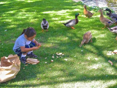 image of children feeding the ducks at Bishop City Park