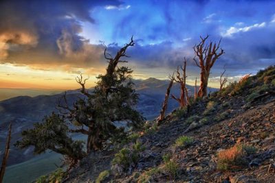 Classic Sierra Storm from Shulman Grove In Bishop, CA