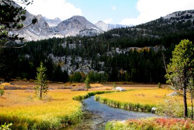 fall colors along a creek