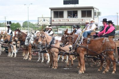 People on mule pulled buggies during Mule Days in Bishop, CA