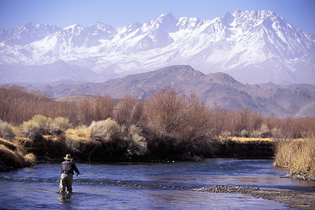fly fishing on the Owens River in spring