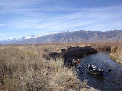 Owens River Meander