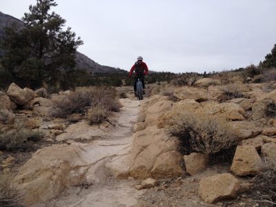 Wagon Wheel trail