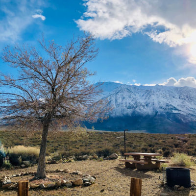 Campsite in early spring, tree, picnic table, fire ring, snow covered mountain in background.