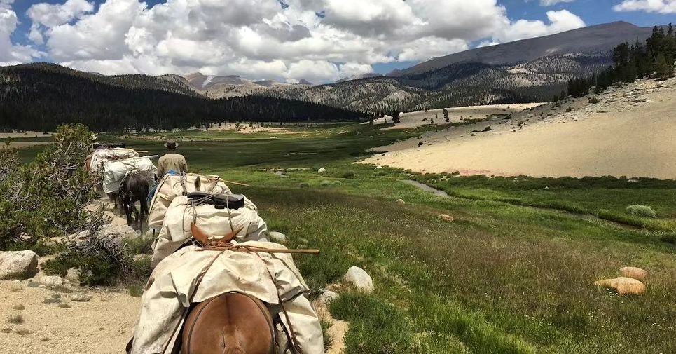 Pack Outfitters going up to McGee Creek