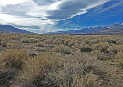 great basin desert landscape