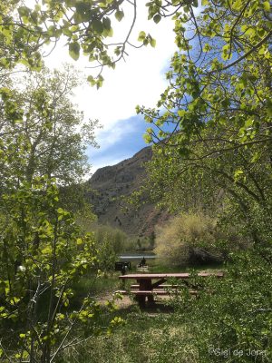 Picnic table at Intake 2