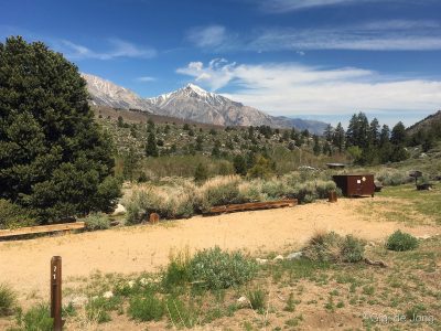 Large site at Four Jeffrey Campground