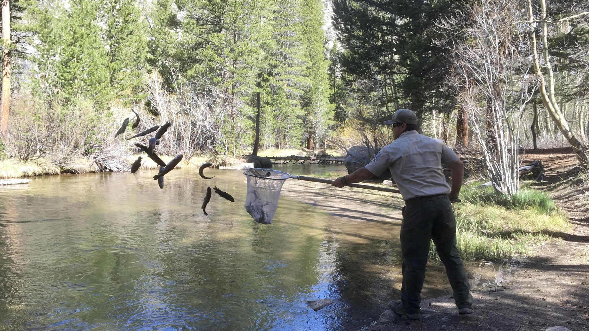 CDFW planting fish in Lake Sabrina from the Bishop Creek Canyon Campground
