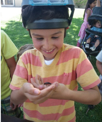 Kids love bugs!