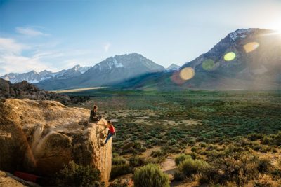 buttermilks