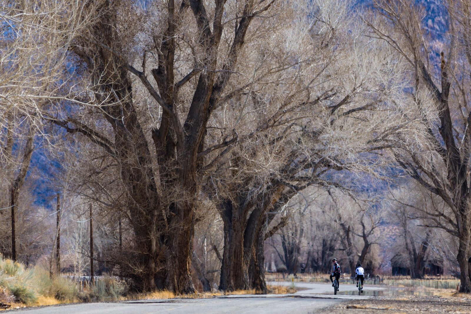 winter road biking in Bishop