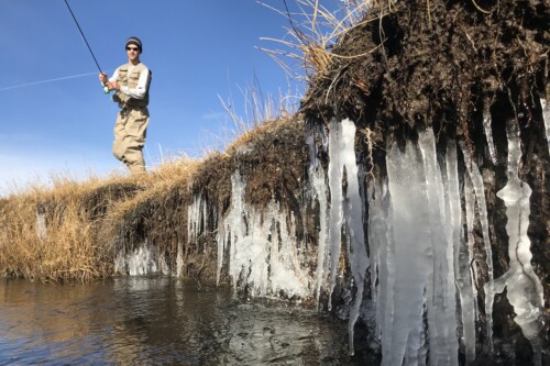 winter fly fishing on the Owens River