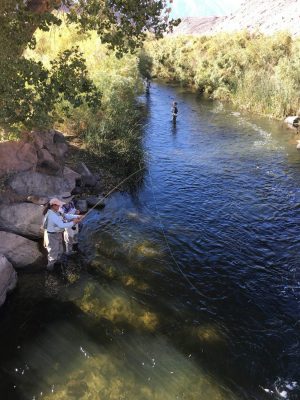 photo of women fly fishing in river