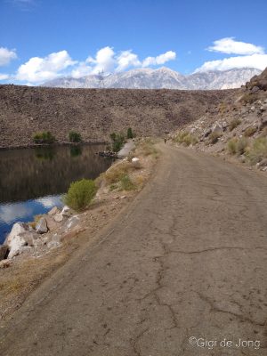 Car-free ride along the shores of Pleasant Valley Reservoir