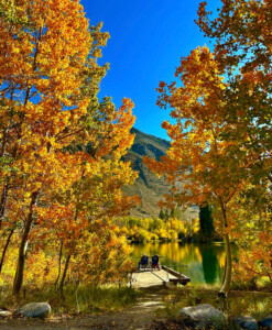 Autumn trees surround a small pier on a tranquil lake under a clear blue sky, with two chairs at the end of the pier. visit bishop