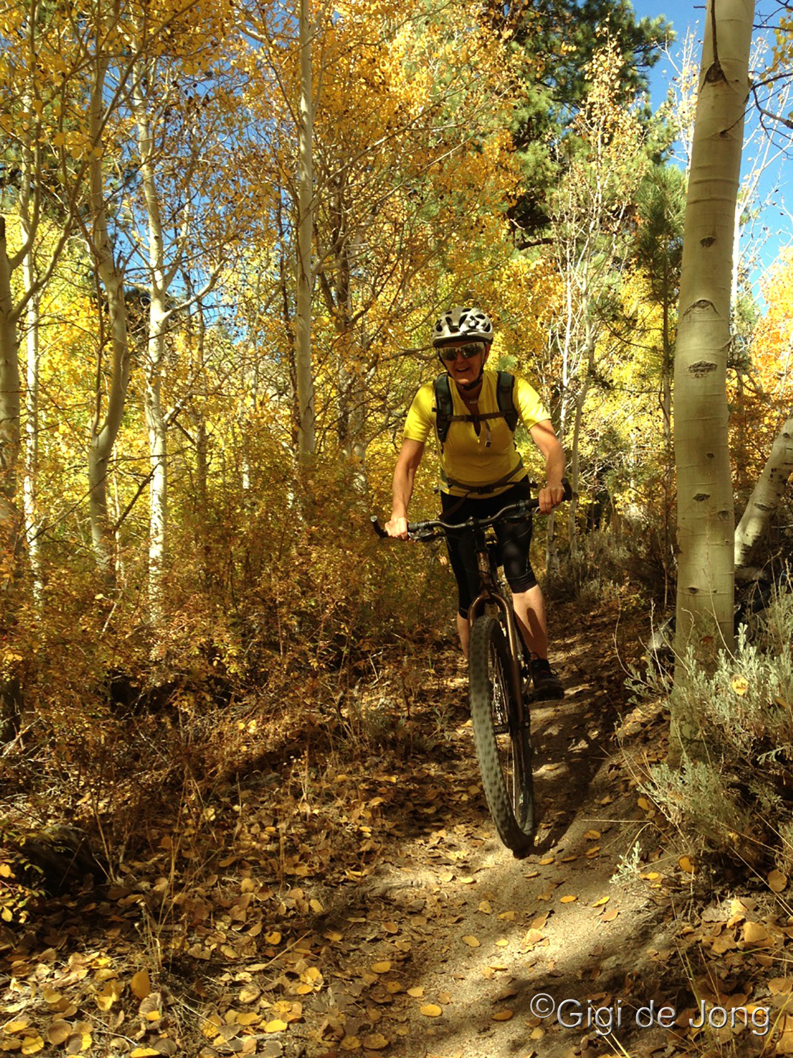mountain biking in the fall on Lower Rock Creek