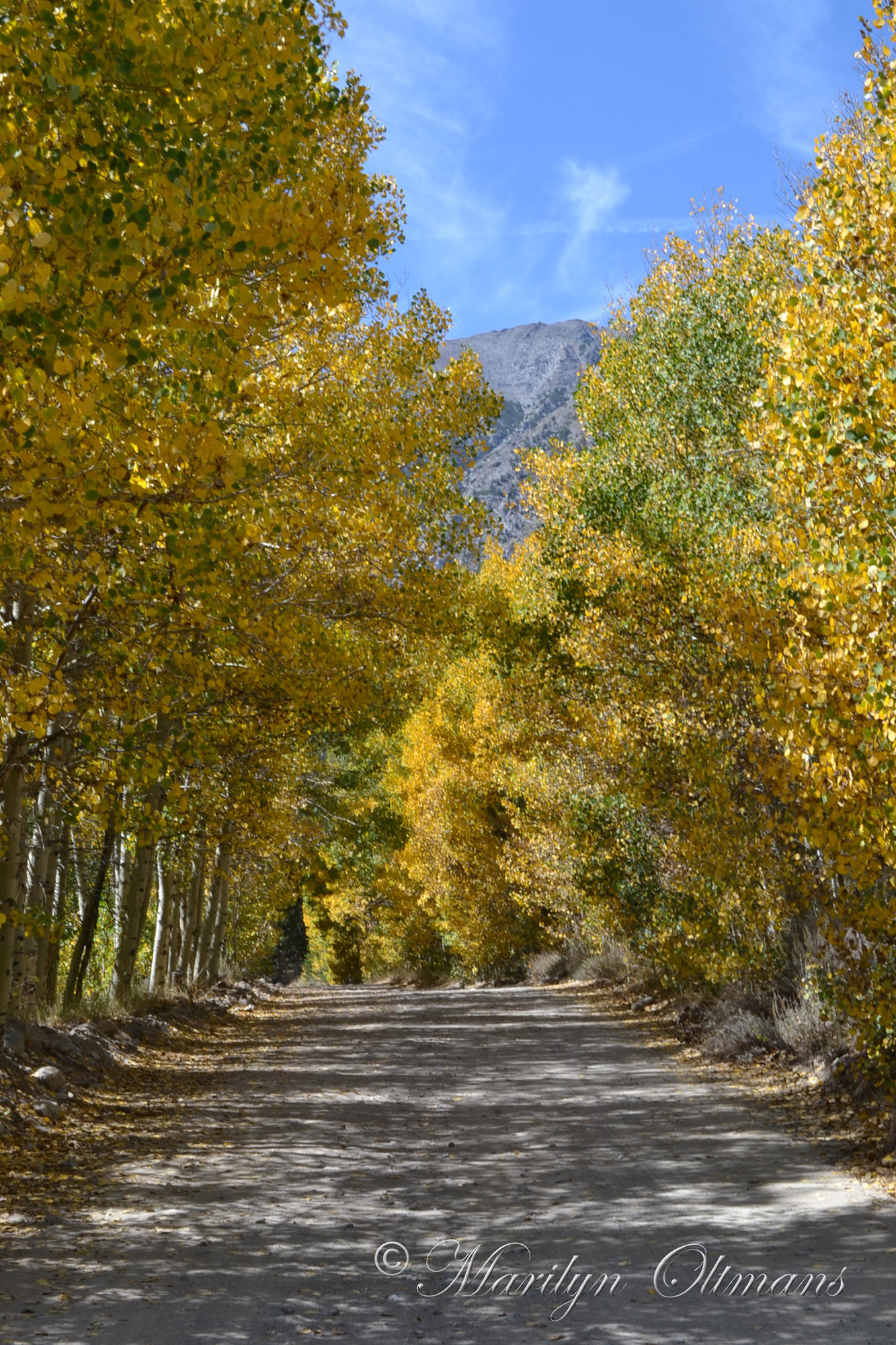 North Lake in Bishop one of the best locations for California Foliage