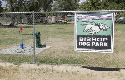 photo of fenced dog park