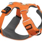 image of dog harness