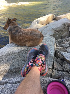 photo of dog near lake with collapsible bowl