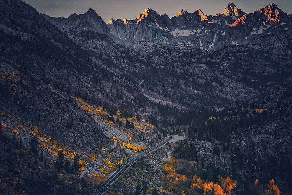 fall foliage in the high country of the Sierra