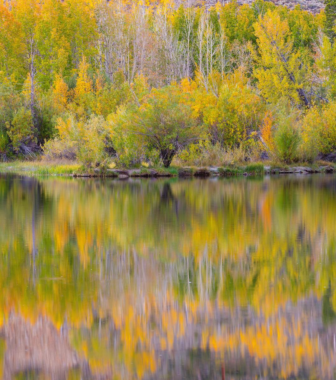 intake II fall foliage