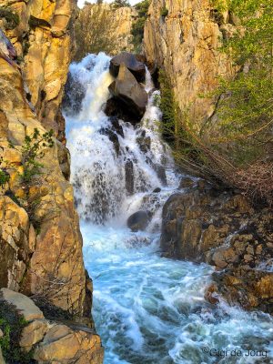 Cardinal Mine Falls near - Gigi de Jong