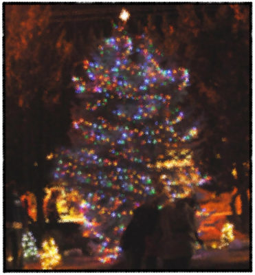 Lighted Christmas Tree