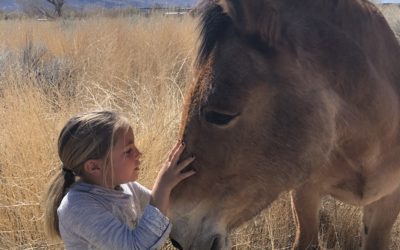 A Guide to Mule Days – FOR KIDS!