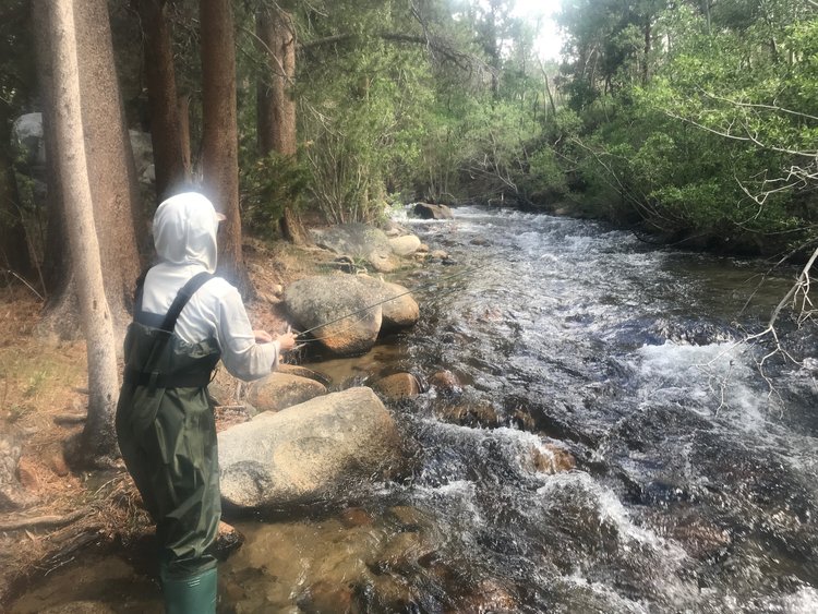 Bishop Weekly Fly Fishing Report