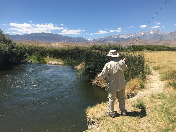 Lower Owens Fly Fishing