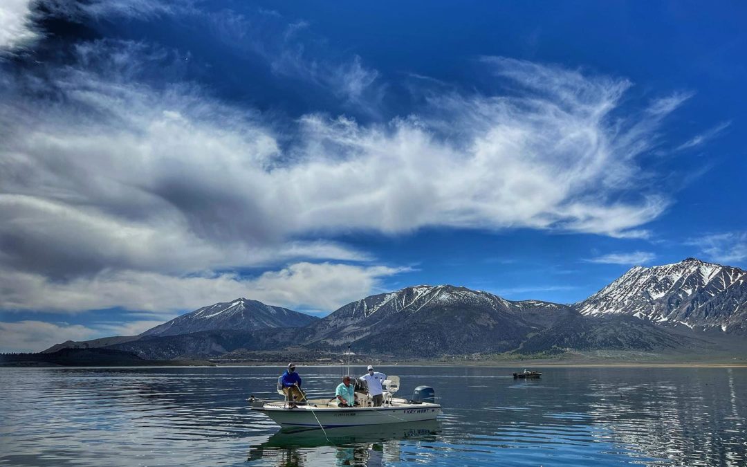 Mussels Aren’t Just For Dinner – What To Know About Crowley Lake Boat Inspections