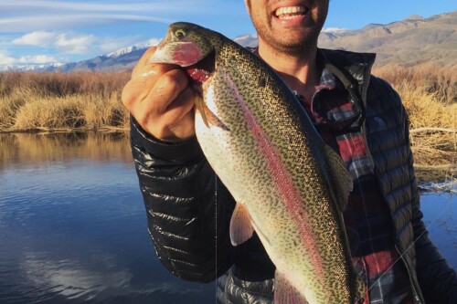 Person smiling and holding a large trout near a river with tall grass and the majestic mountains of Bishop, California in the background. visit bishop