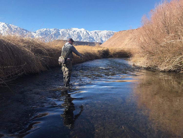 The Scoop On Fly Fishing The Owens River