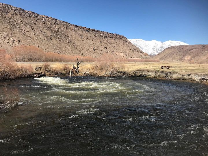 The Scoop On Fly Fishing The Owens River