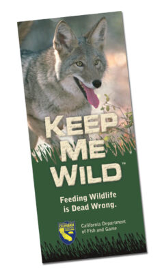 Cover image of California Department of Fish and Wildlife brochure about keeping wildlife wild.