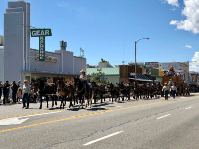 The 20-mule team in Bishop's Annual Mule Days Parade. Photo: Gigi de Jong
