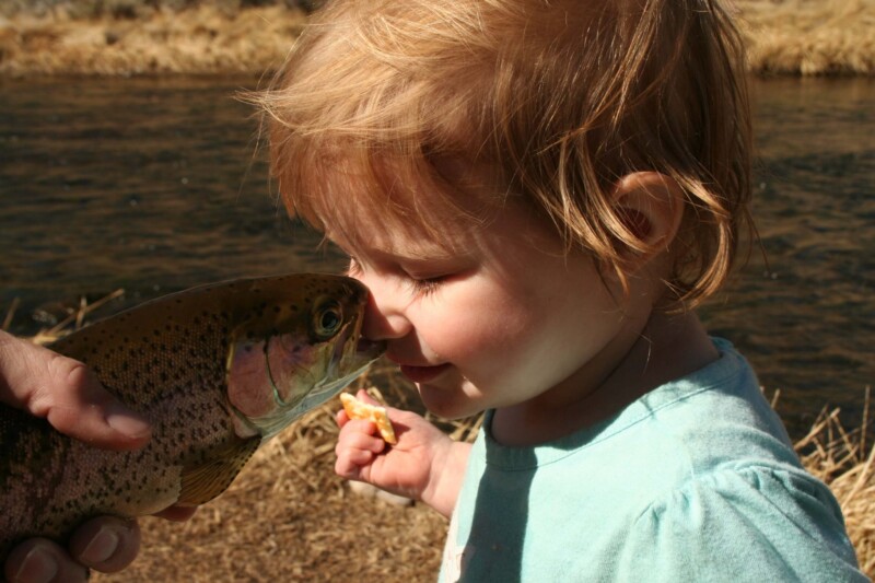 A toddler is gently touching noses with a fish held by an adult near a riverbank. visit bishop