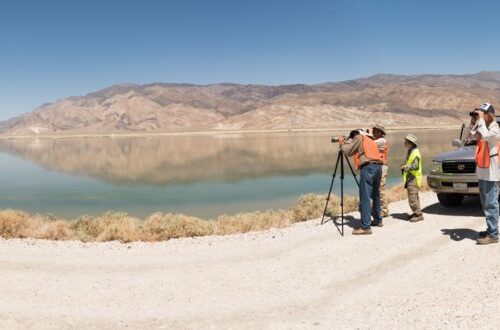 People in safety vests with cameras and telescopes near water, beside parked vehicles, with the majestic Eastern Sierra mountains in the background. visit bishop