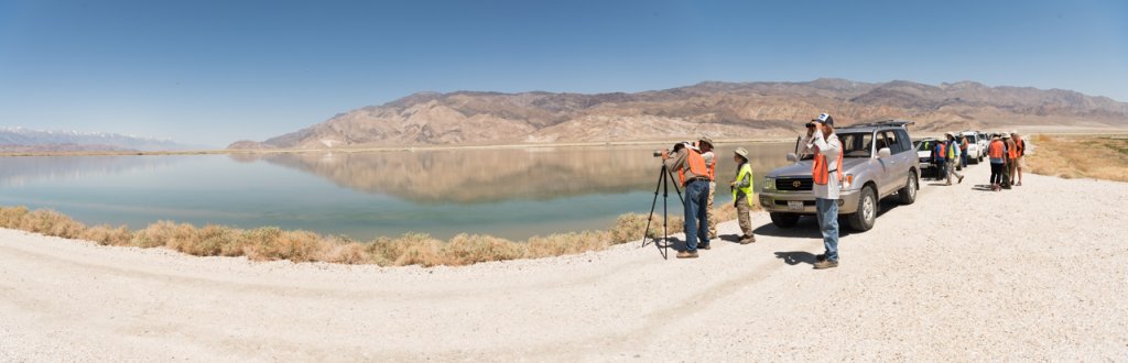 People in safety vests with cameras and telescopes near water, beside parked vehicles, with the majestic Eastern Sierra mountains in the background. visit bishop