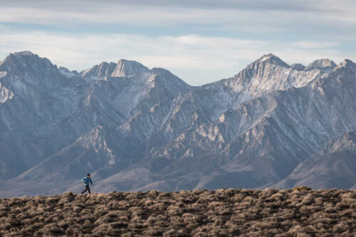 A person walks a dog on a grassy ridge near Bishop, California, with a backdrop of towering, snow-capped mountains under a cloudy sky. visit bishop