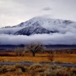 Snow-capped mountain with trees in the foreground and clouds partially covering the peak on an overcast day. visit bishop