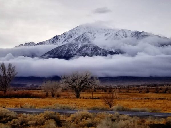 Snow-capped mountain with trees in the foreground and clouds partially covering the peak on an overcast day. visit bishop