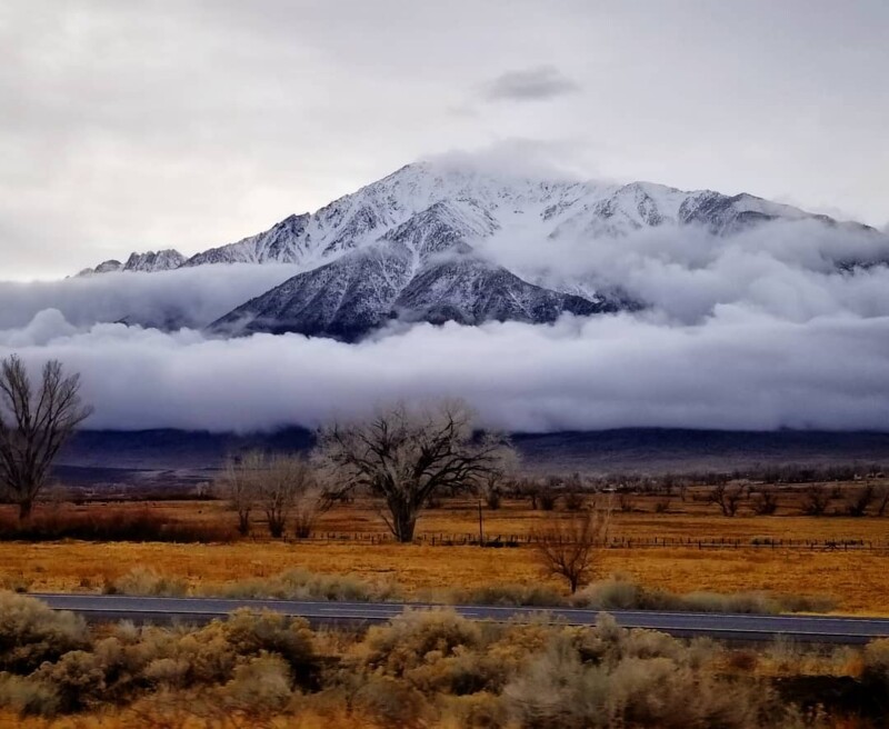 Snow-capped mountain with trees in the foreground and clouds partially covering the peak on an overcast day. visit bishop