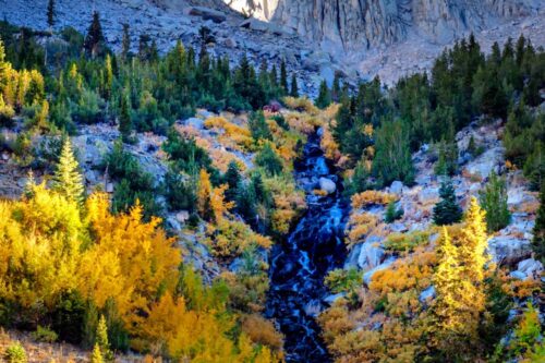 A scenic mountain landscape near Bishop, California, with a rugged rocky peak under a clear blue sky. The foreground features a flowing stream surrounded by vibrant autumn foliage in shades of yellow and orange, with green pine trees scattered throughout the scene. visit bishop