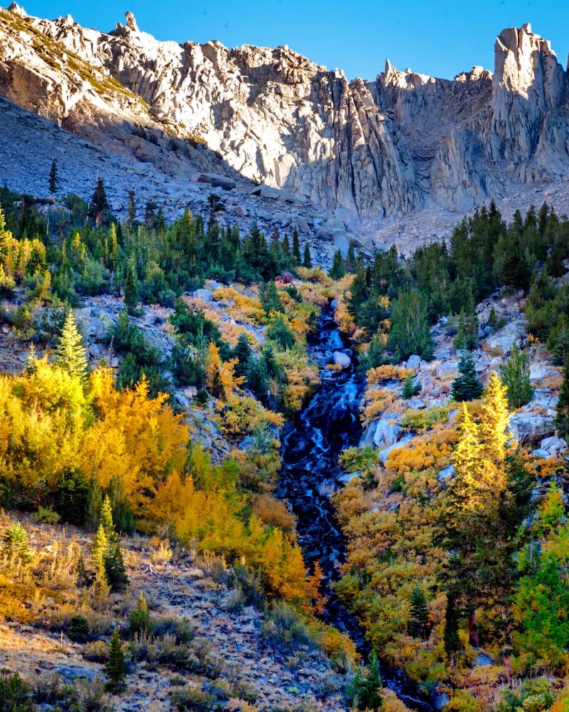 A scenic mountain landscape near Bishop, California, with a rugged rocky peak under a clear blue sky. The foreground features a flowing stream surrounded by vibrant autumn foliage in shades of yellow and orange, with green pine trees scattered throughout the scene. visit bishop