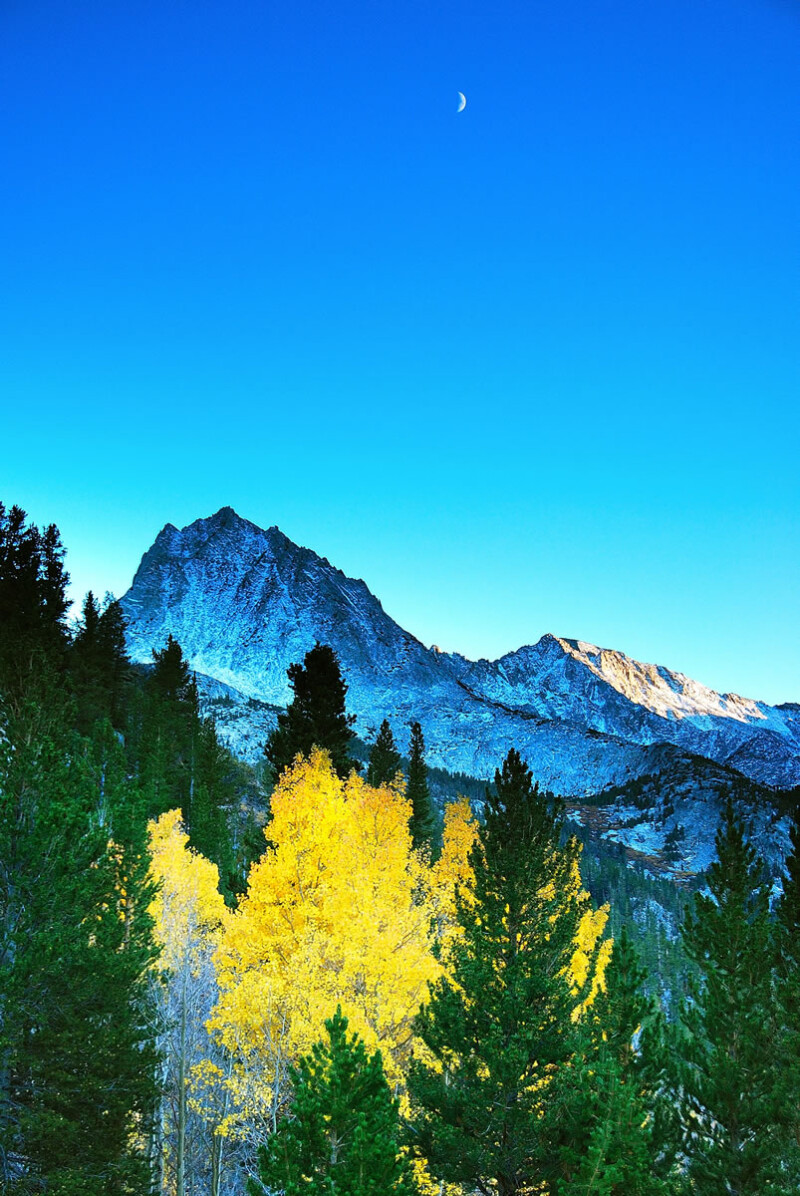 Mountain peak under a clear blue sky with a crescent moon, surrounded by trees with vibrant yellow and green foliage, reminiscent of the serene landscapes near Bishop, California. visit bishop