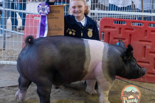 Young girl in a blue jacket kneeling next to her ribbon-winning hog at the Bishop, California fair, smiling and holding an award amidst the stunning backdrop of the Eastern Sierra. visit bishop